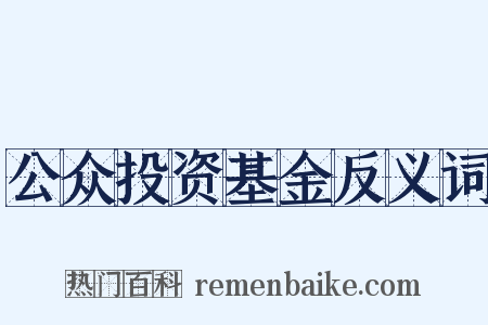 公众投资基金反义词是什么意思的图片
